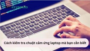 Kiểm tra chuột cảm ứng laptop